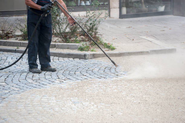 Best Driveway Cleaning and Restoration in Little Chute, WI